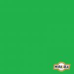 Folha de E.V.A Lisa 40x60cm Verde Claro 2mm