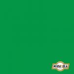 Folha de E.V.A Lisa 40x60cm Verde 2mm