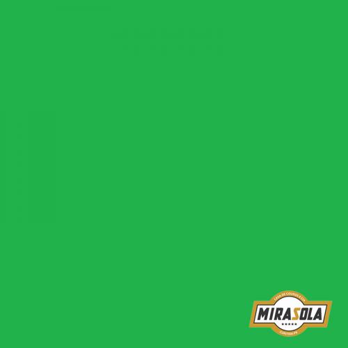 Folha de E.V.A Lisa 40x60cm Verde Claro 2mm