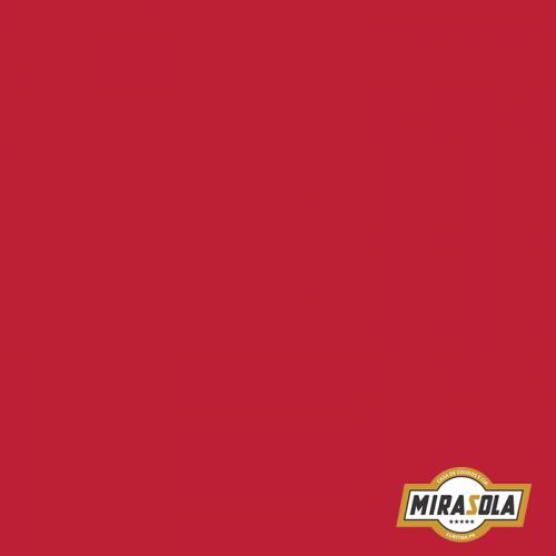 Folha de E.V.A Lisa 40x60cm Vermelho 2mm