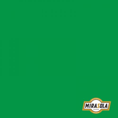 Folha de E.V.A Lisa 40x60cm Verde 2mm